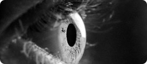 Triple Protection Service